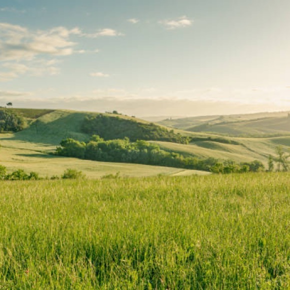 Meet your Posher, Maude - Picture 2 of 2